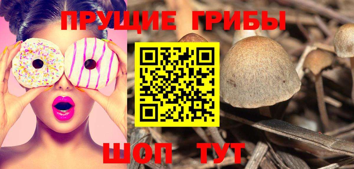 Галлюциногенные грибы мухоморы Шали