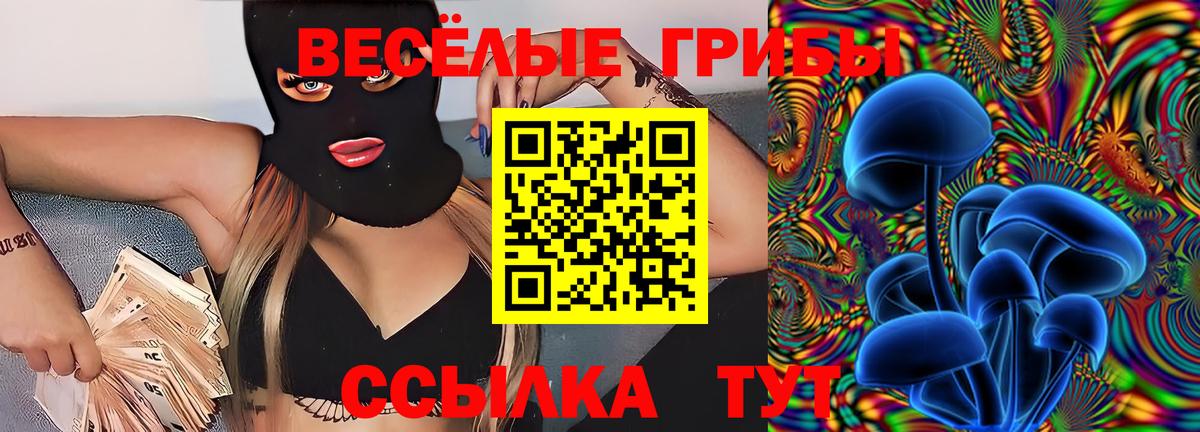 Псилоцибиновые грибы мицелий  Вход с VPN  Шали 